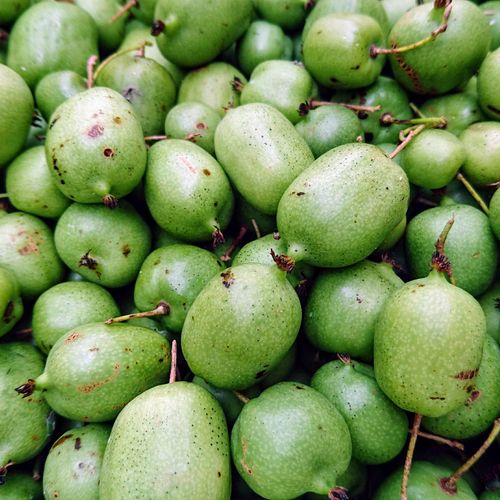 actinidia-arguta-super-issai.jpg