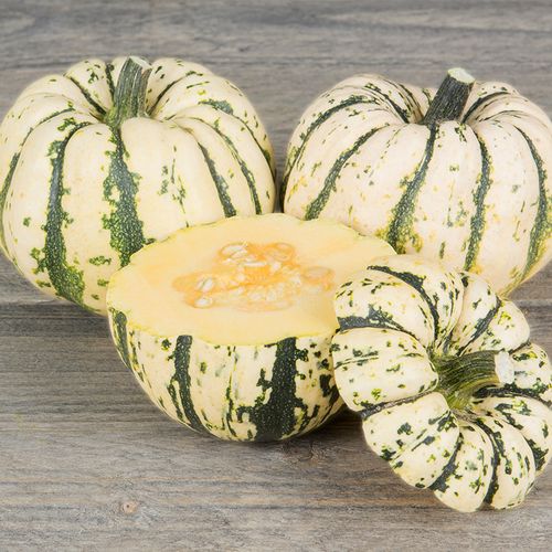 cucurbita-pepo-sweet-dumpling.jpg