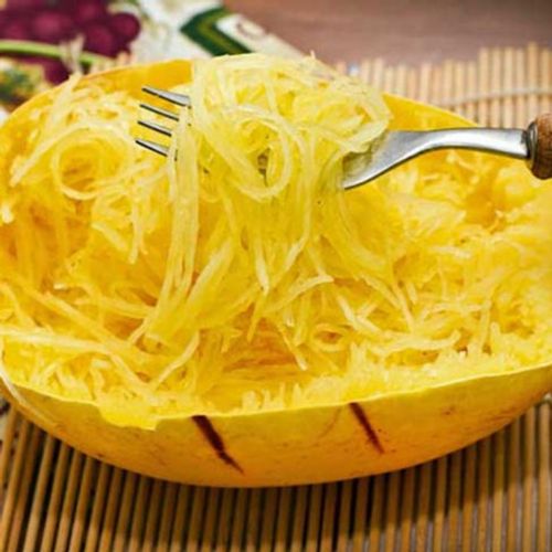 cucurbita-pepo.jpg