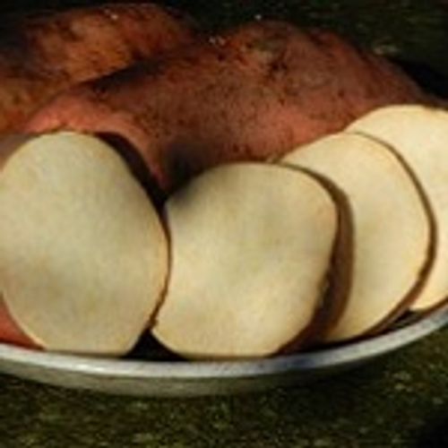 ipomoea-batatas-golden-eye.jpg