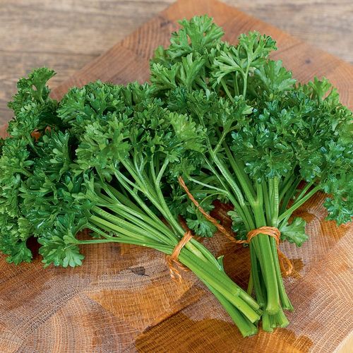 petroselinum-crispum-annettes-perle.jpg