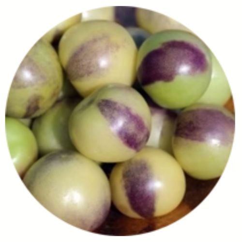 physalis-ixocarpa-purple-de-milpa.jpg