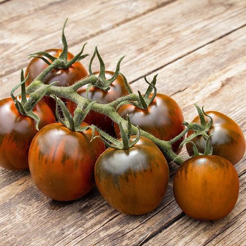solanum-lycopersicum-bellarubin.jpg