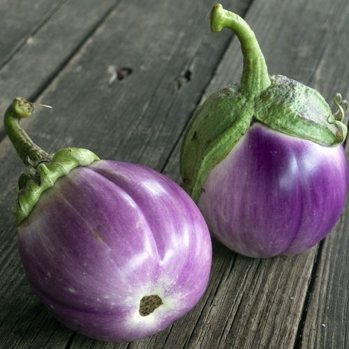 solanum-melongena-lea.jpg